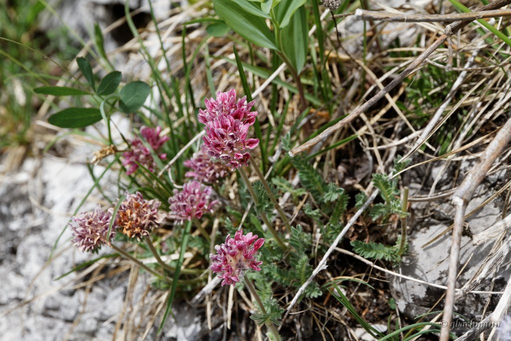 20150514_0070